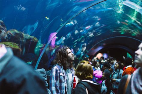 aquarium marseille visite